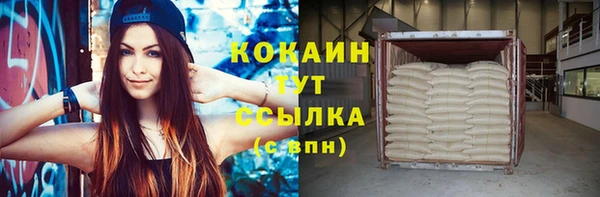 шишки Новозыбков