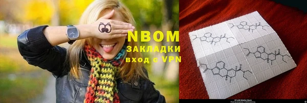 шишки Новозыбков