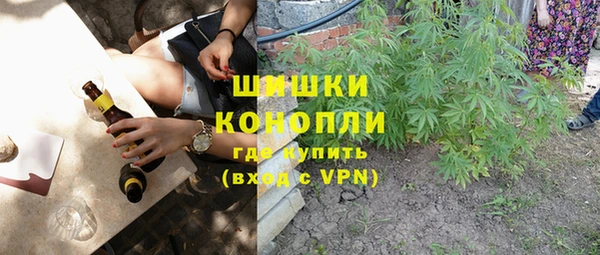 шишки Новозыбков