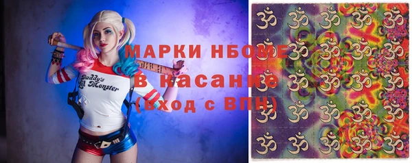 шишки Новозыбков