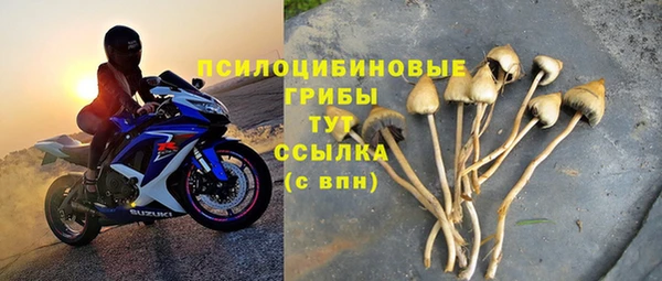 винт Новодвинск