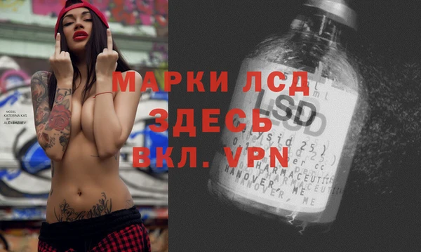 шишки Новозыбков