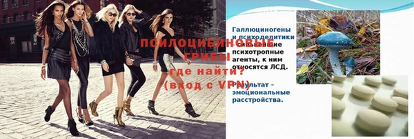 шишки Новозыбков
